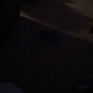 Meet your Posher, Shanna